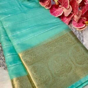 Sea Green Organza Saree with Sequins and Zari Border